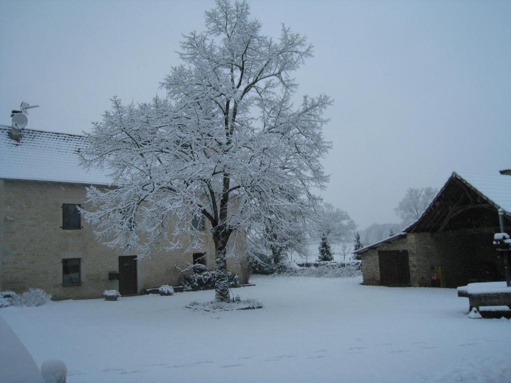 Auberge Du Vernay Charette  Zewnętrze zdjęcie